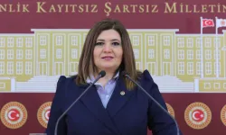 BİLDİRT BİLDİRİM TESTSİ