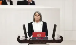 CHP’li Sibel Suiçmez: Bu mesele tam olarak siyasidir