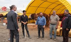 Etimesgut’ta kurban satış yerleri nerede? 2026 listesi açıklandı