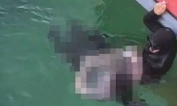 İstifasının ardından gelen acı haber: Eski Astsubay sahilde cansız halde bulundu