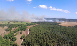 Çanakkale Eceabat’ta korkutan orman yangını: Havadan ve karadan müdahale başladı