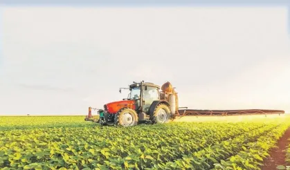 TÜİK açıkladı: Tahılda yeterlilik %91, kayısıda rekor %594