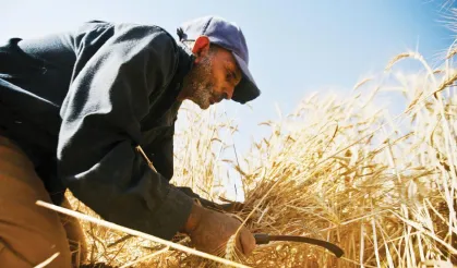 Çiftçilere destek ödemesi başladı: 12,3 milyar TL hesaplara yatıyor