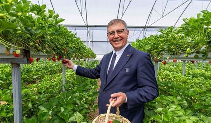 İzmir’de kırsal kalkınma hamlesi: Belediyeden milyonluk destek