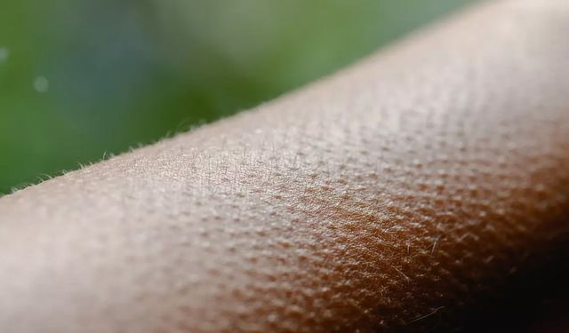 Oxford Üniversitesi: 5 duyu sistemi sil baştan, 30'a kadar çıkıyor