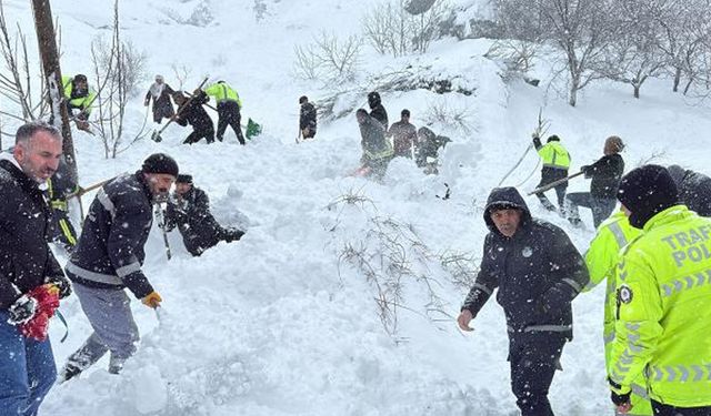 Van Çatak’ta çığ paniği, 22 ev tahliye edildi