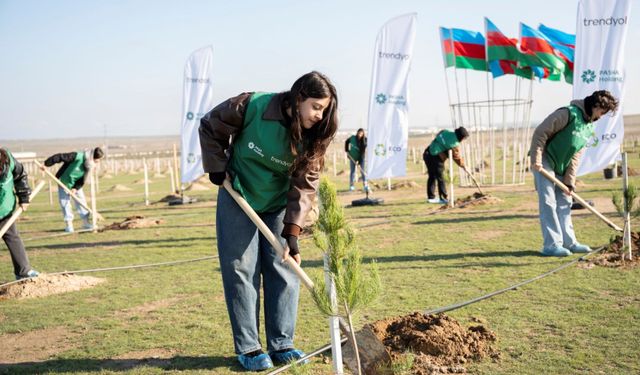 Trendyol ve PAŞA Holding’den Azerbaycan’da ağaçlandırma için seferberlik