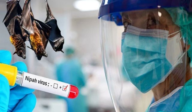 Yeni virüs alarmı: Ölüm oranı %90’a çıkabiliyor