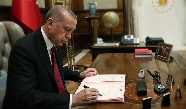 Yalova Valisi Hülya Kaya IŞİD operasyonu sonrası görevden alındı