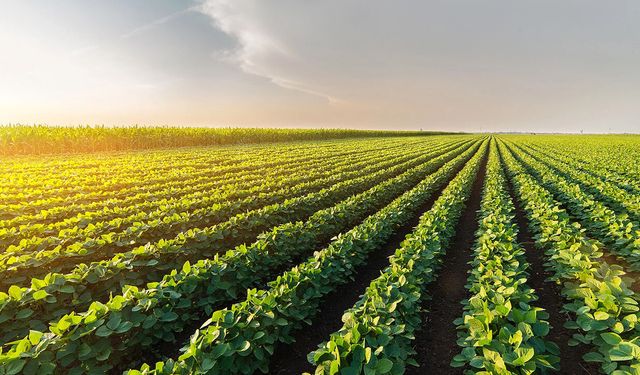 Tarımda KDV ve ÖTV kaldırılsın teklifi Meclis’te