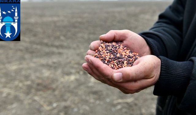 Ankara’da çiftçiye dev destek: 1,5 milyon tohum dağıtılıyor