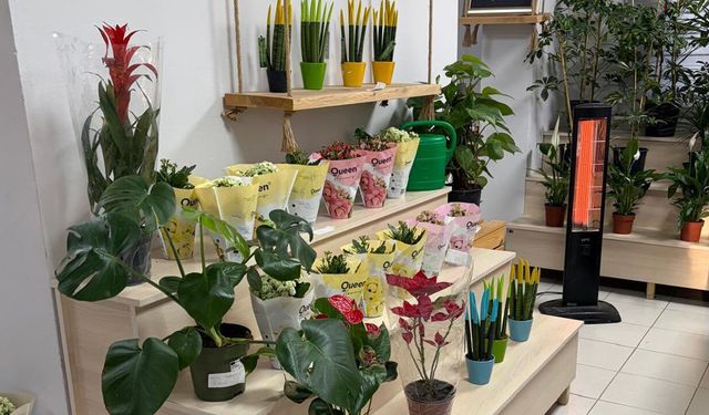 Çankaya Belediyesi 14 Şubat'ı es geçmedi: Uygun fiyata çiçek satıyorlar