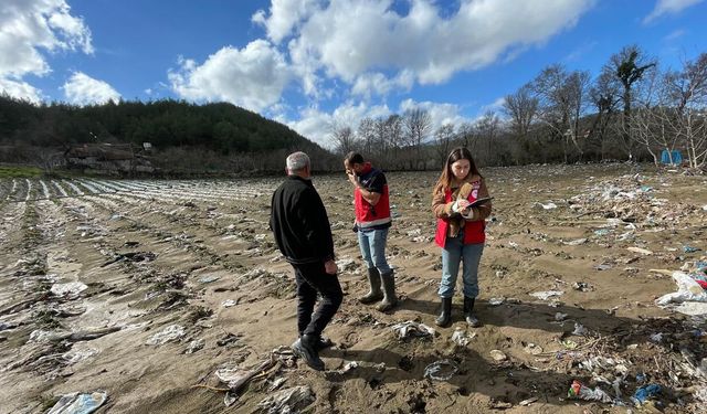 Hatay’da sel tarımı vurdu: Araziler çamur altında