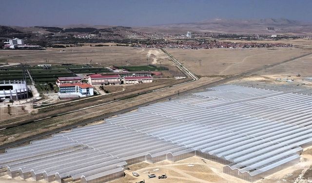 Yerel kalkınma hamlesi başladı:Jeotermal ve hayvancılığa büyük destek