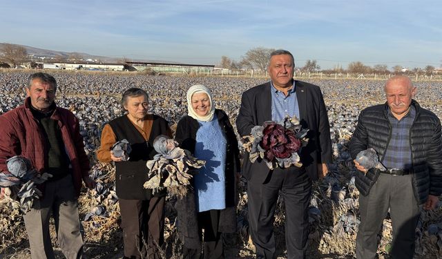 Tarlada çürüyor, tezgahta katlanıyor: Tarımda sistem alarm veriyor