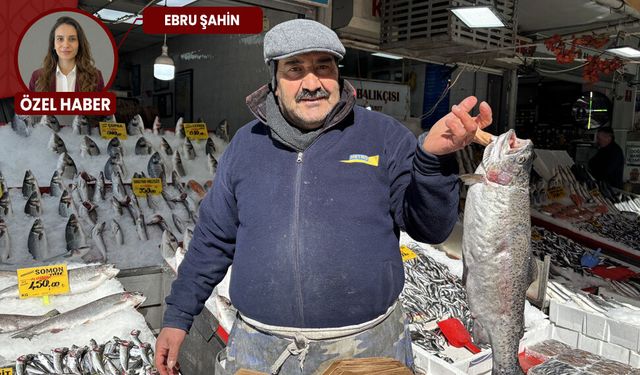 Tezgahta bolluk var, alıcı yok: Esnaftan taze balık tüyoları