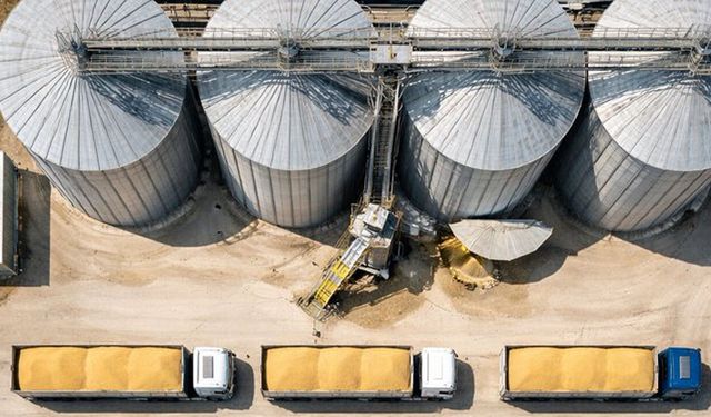 Piyasaya müdahale: TMO’dan kritik adım