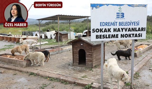 Edremit’te toplu hayvan ölümleri iddiası: Zafer Partisi’nden suç duyurusu adımı