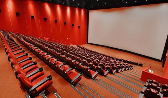 Ankara'daki sinema festivali için gönüllü çalışan aranıyor