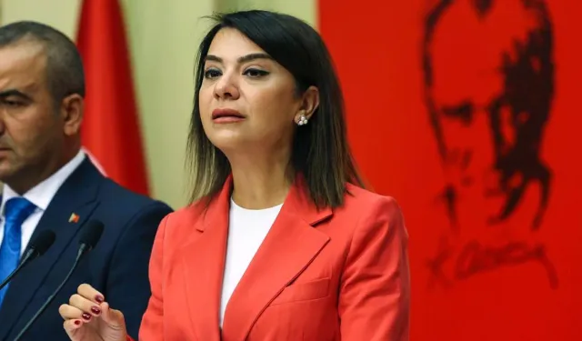 CHP’li Taşcıer: “Emekliye bakışın özeti bütçe tercihleridir”