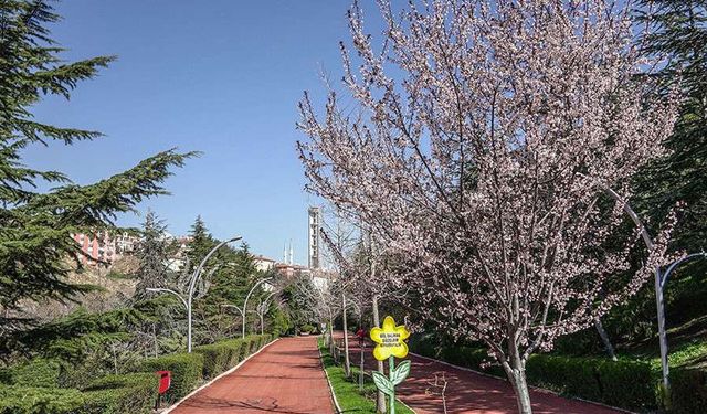 Ankara’da bahar coşkusu: Türk Dünyası sanatçıları Keçiören’de buluşuyor
