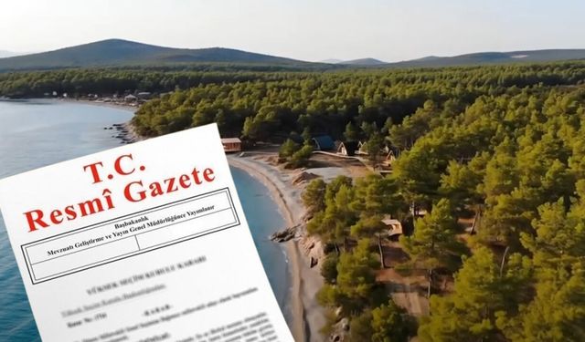Kıyı kenarındaki ormanlar turizm yatırımlarına açılacak