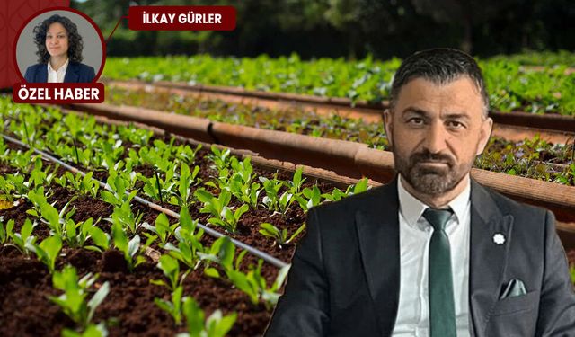 Uzmandan pestisit uyarısı: Tamamen arındırmak mümkün değil