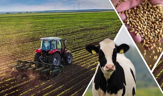 Yerel Kalkınma Hamlesi Teşvik Programı başvuruları yarın açılıyor