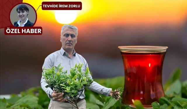 Çayın acı gerçeği: İçtiğiniz su, demlediğiniz çaydan pahalı!