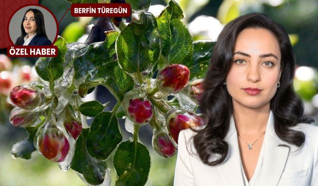 Zirai don alarmı: Sıcaklıklar düştü, üreticiye kritik uyarı