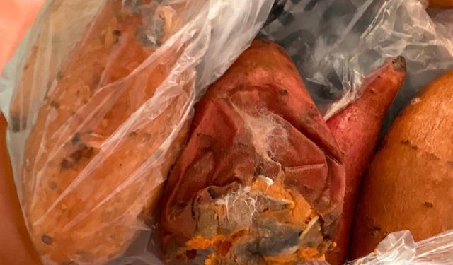 İzmir’de online sipariş skandalı: “Çürük ürün geliyor, çözüm yok”
