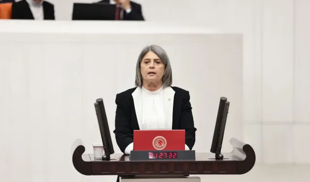 CHP’li Sibel Suiçmez: Bu mesele tam olarak siyasidir
