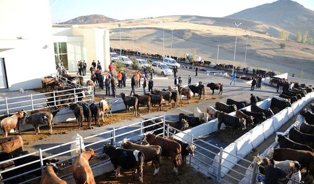 Altındağ 2026 kurban kesim yerleri belli oldu! İşte tam liste
