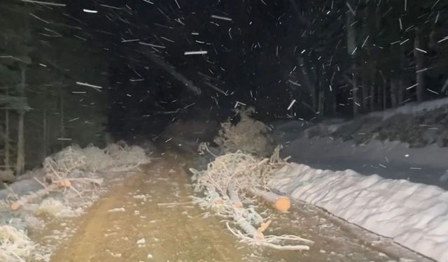 Mayıs ayında kış geri geldi: Çorum ve Kastamonu beyaz örtüyle kaplandı