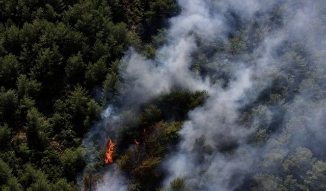 Fethiye’de korkutan orman yangını: Yoğun müdahale başladı!