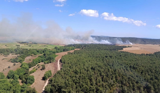 Çanakkale Eceabat’ta korkutan orman yangını: Havadan ve karadan müdahale başladı