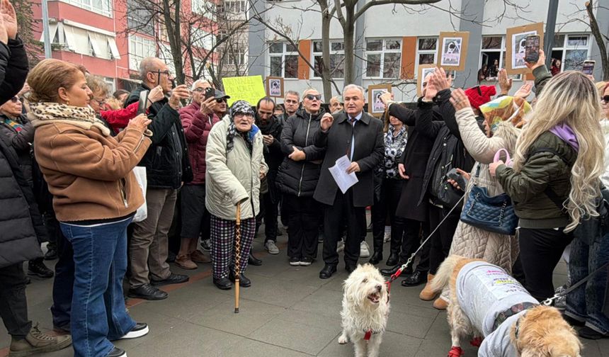 Ankara'da köpeği döverek öldüren belediye çalışanları işten kovuldu