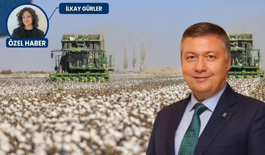 Pamuk üretiminde kendimize yetemiyoruz: İthal ediliyor