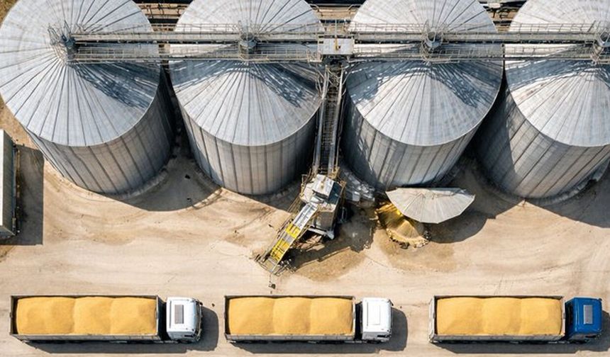 ETİ’den yerli buğday hamlesi: Kuraklığa dayanıklı yeni tür