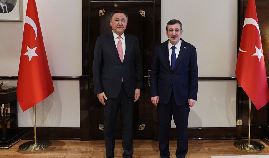 Bakü Zirvesi ve Türk dünyasında birlik Ankara'da ele alındı