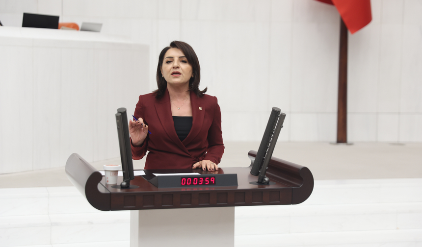 CHP’li Kış’tan dikkat çeken veri: Her 100 ailenin 15’i icralık