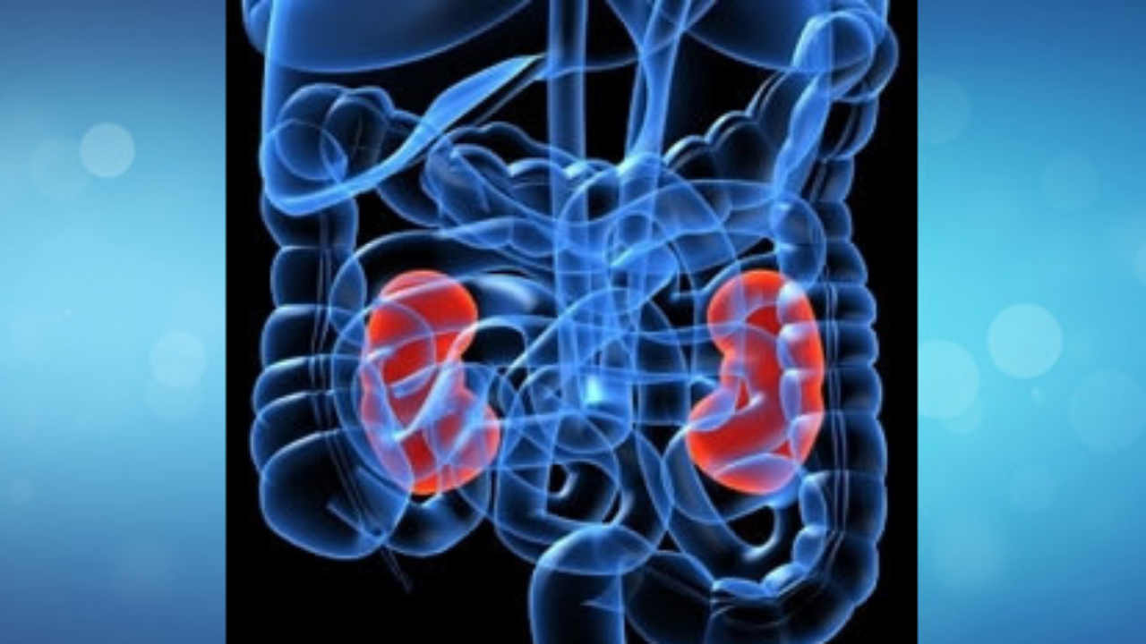 Adsız Tasarım (4)-5