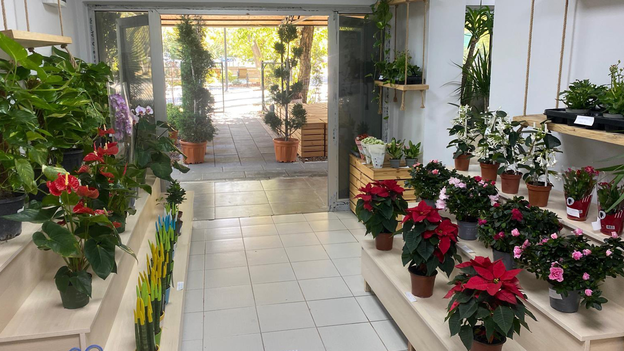 Çankaya Çiçek 14 Şubat4