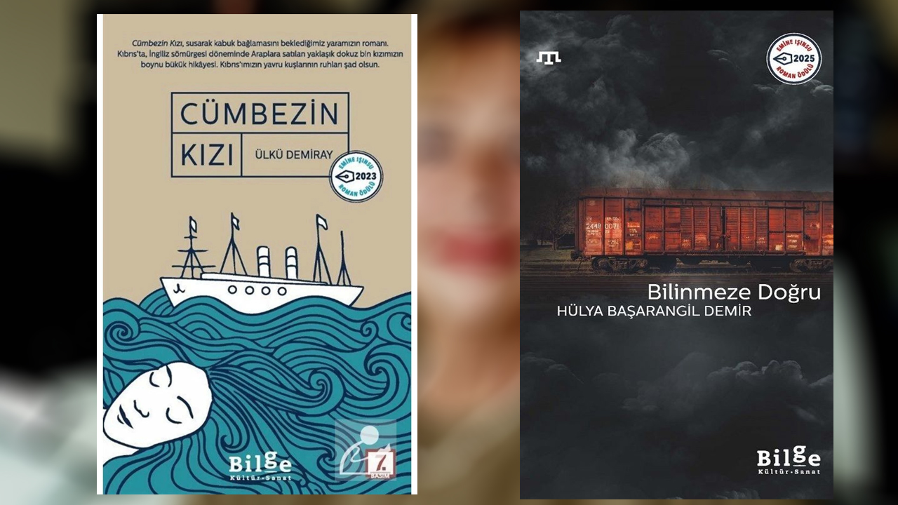 Emi̇ne Işinsu Roman Ödülü