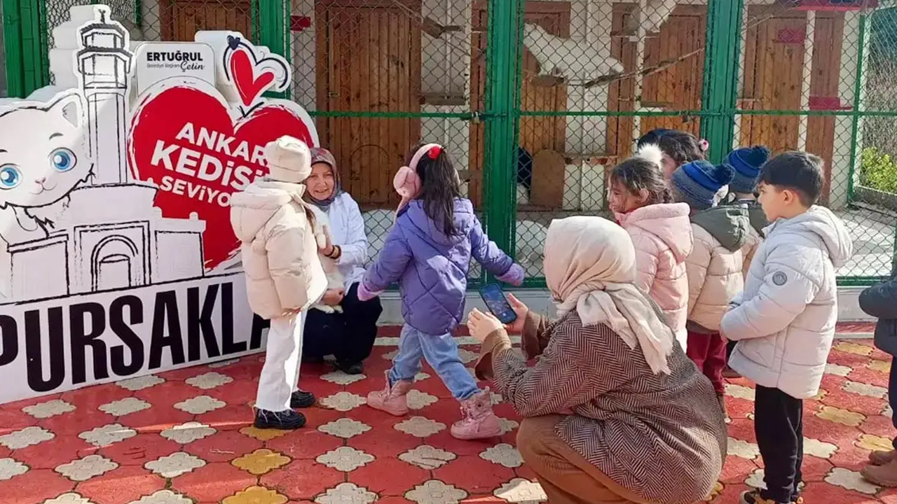 Pursaklar Kedi̇ Evi̇2