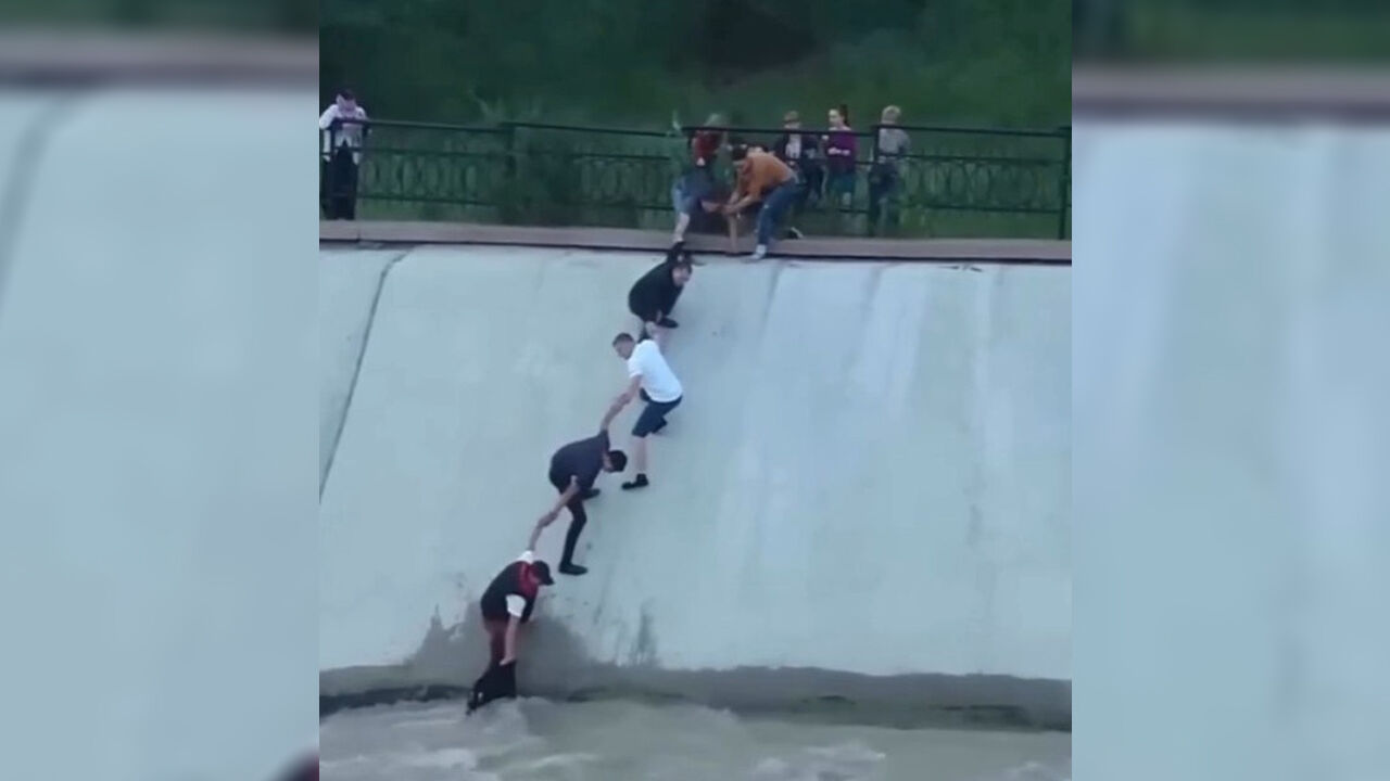 2016 Kazakhstan Dog Rescue