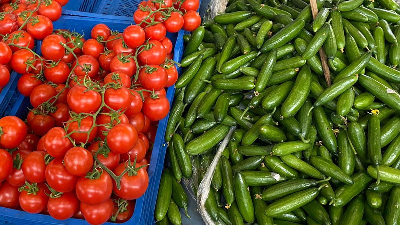 Domates Salatalık-1