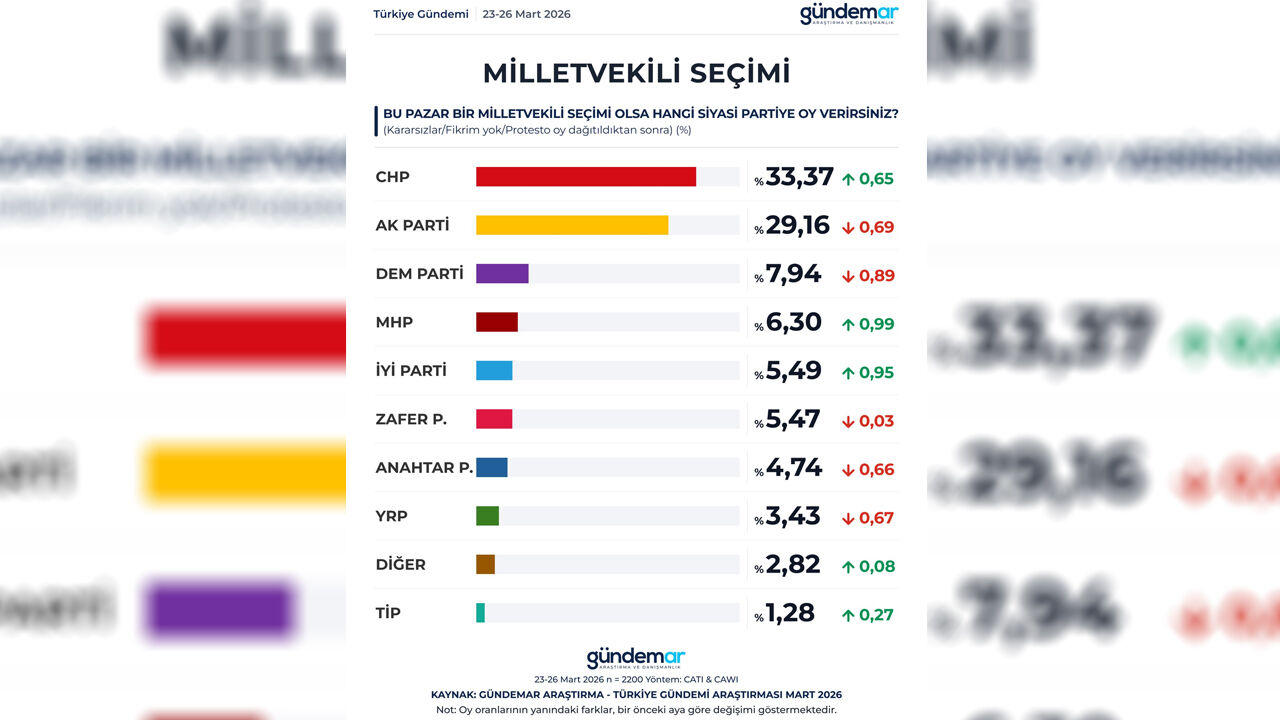 Anket Milletvekili Seçimi