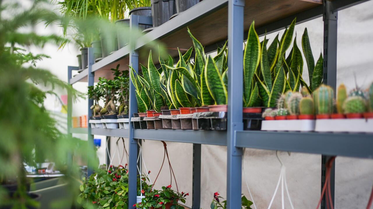 Eti̇mesgut Çi̇çek 1