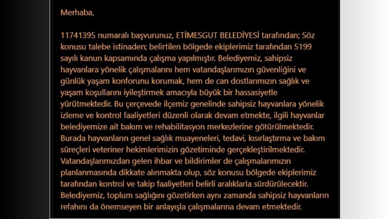 Etimesgut’ta Sahipsiz Hayvanlar Için %22Güvenli Sokak%22 Mesaisi Haber Içi 2